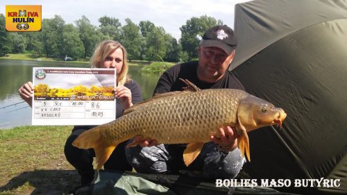 10kg, boilies Maso/Butyrick
