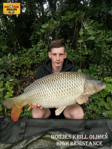 Boilies krill a oliheň high resistance, svazová voda