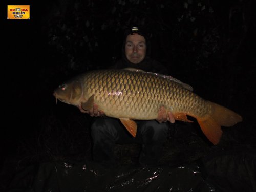 13kg, boilies calypso