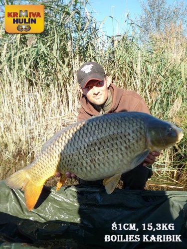 81cm, 15,3kg, Boilies Karibik