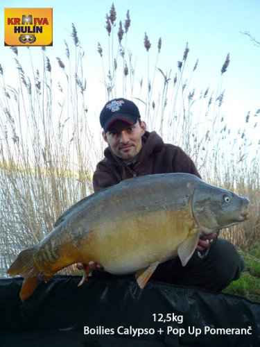12,5kg, boilies Calypso, pop up Pomeranč/med