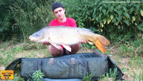 Boilies Artemis