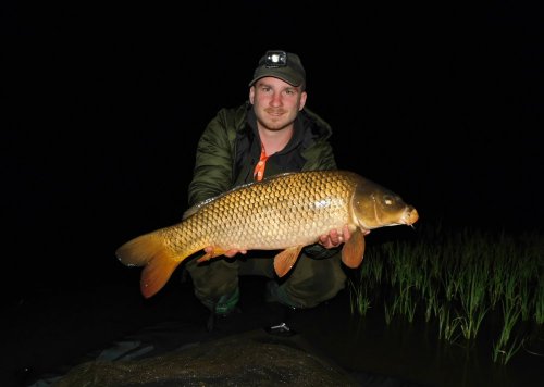 Boilies Calypso