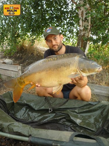 10,5kg, zig rig - pop up švestka/česnek