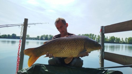 Boilies Pikantní perník