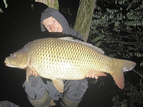 16,1kg, boilies Pikantní perník