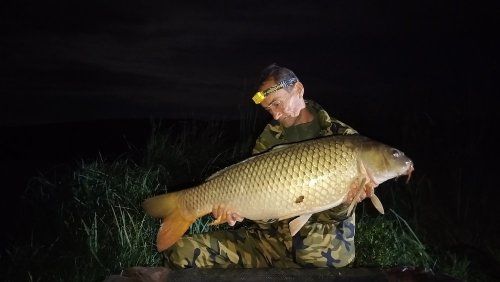 Boilies Pikantní perník