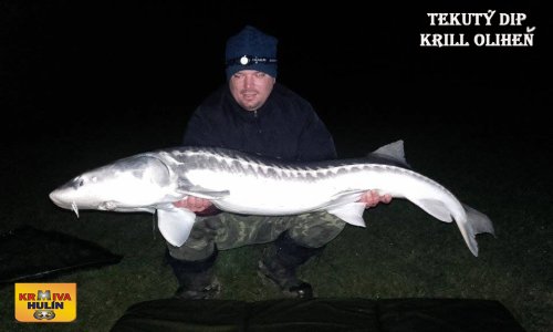 Tekutý dip Krill/Oliheň