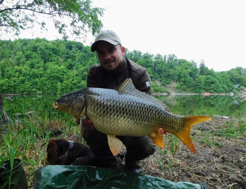 Boilies Pikantní perník