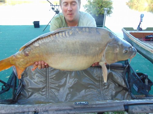 Boilies Pikantní krill