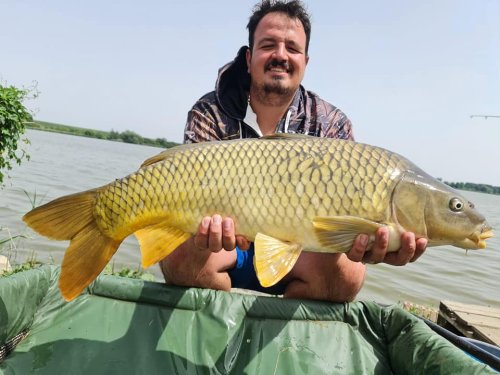 Boilies Frankfurtská klobása