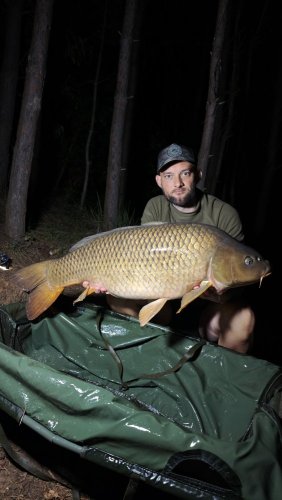 16,6kg, Boilies Pikantní perník