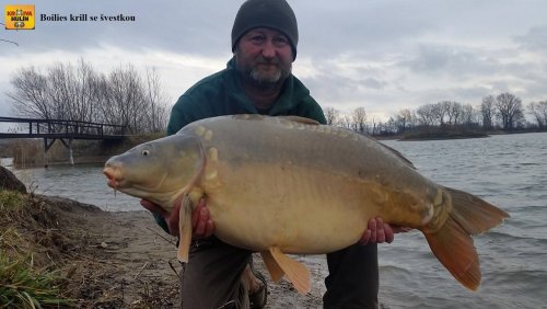 18kg, boilies krill se švestkou