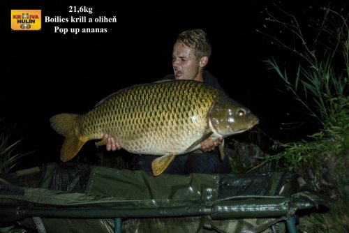 21,6kg, boilies krill/oliheň, pop up ananas, svazová voda