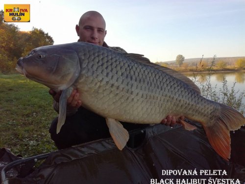 Dipovaná peleta black halibut švestka