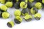 Boilies Duplex - HALIBUT / ANANAS - Ø 20 mm - Vyberte balení: 1 kg