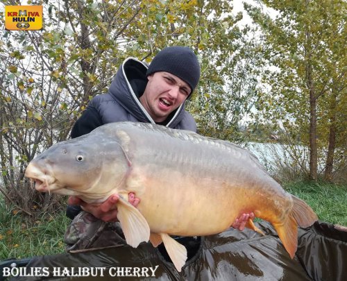 Boilies halibut/cherry
