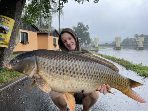 17kg+, boilies Pikantní krill