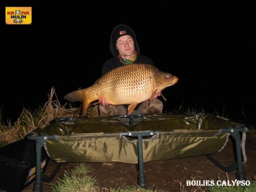 Boilies Calypso, svazová voda