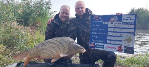 Boilies Krill a oliheň