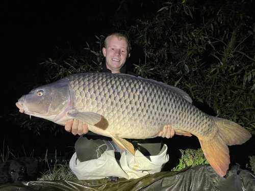 15kg, boilies Monster crab