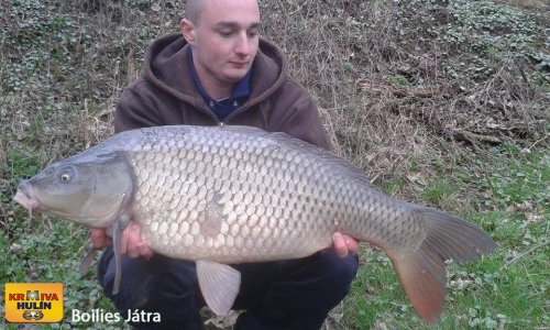 Boilies Játra
