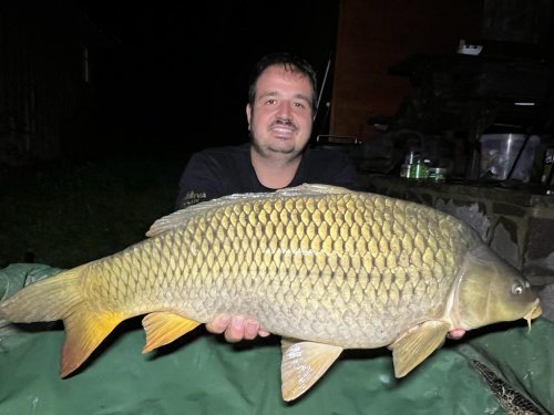 Boilies Black halibut