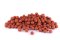 Boilies - PIKANTNÍ KRILL - Ø 12 mm - Speciální edice (Krmiva Hulín, BOPK12-1) | Krmiva Hulín