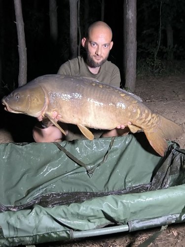 Boilies Pikantní perník