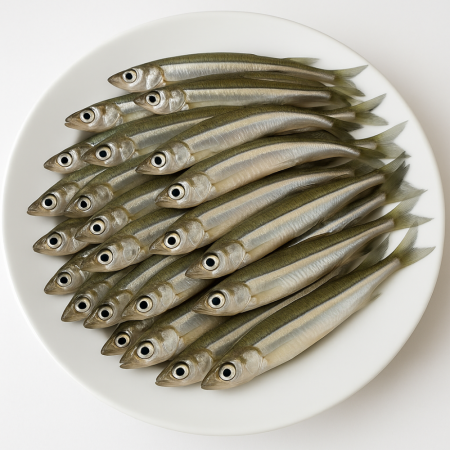 GRUNDLE CELÉ - Mražené nástražní rybičky 7 cm (GRCE-1) | Krmiva Hulín GRUNDLE CELÉ - Mražené nástražní rybičky 7 cm (GRCE-1) | Krmiva Hulín