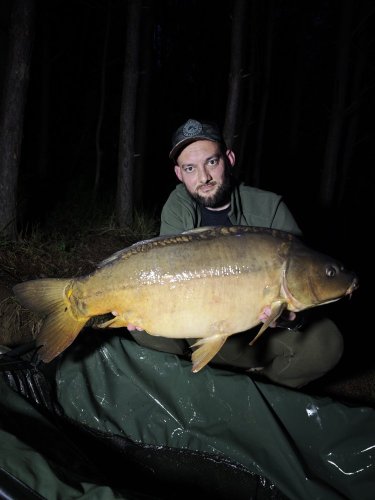 Boilies Pikantní perník