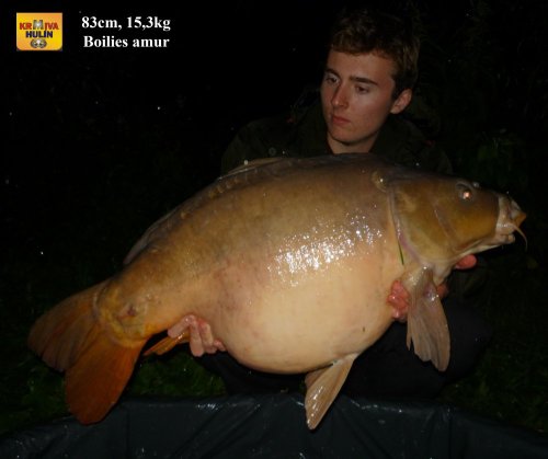 83cm, 15,3kg, boilies amur, svazová voda