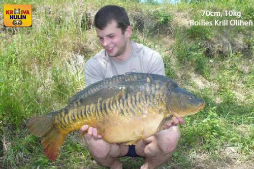 70cm, 10kg, boilies Krill/Oliheň
