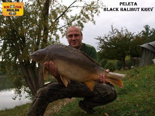 Peleta Black halibut krev