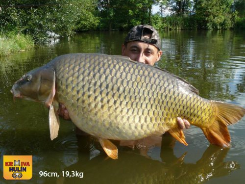 96cm, 19,3kg
