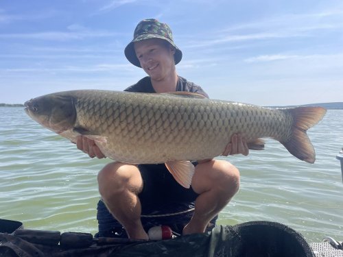 Boilies Mefisto