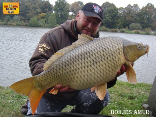 Boilies amur
