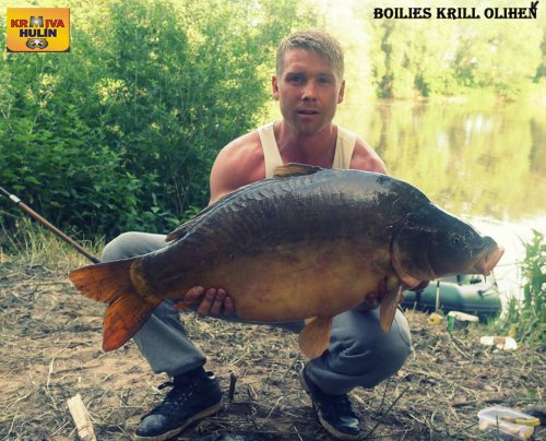 Boilies Krill/Oliheň