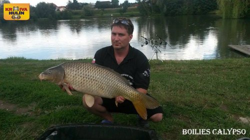 Boilies calypso