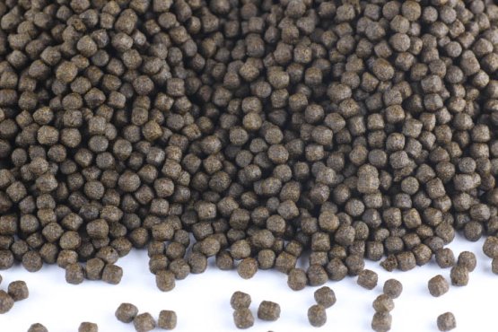 Plovoucí krmivo KOI - SPIRULINA - Coppens - Ø 6 mm - Vyberte balení: 1 kg
