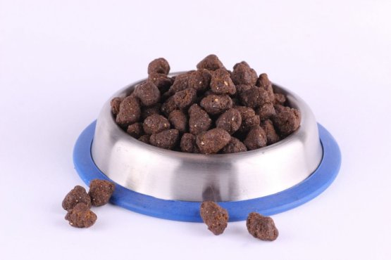 Krmivo pro psy - TRESKA S LOSOSOVÝM OLEJEM - Vyberte balení: 4 kg
