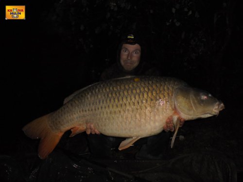 19,4kg, Dyje 5, boiles pikantní jahoda