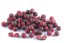 Boilies Duplex - KAPR SPECIÁL / CALYPSO - Ø 24 mm - Vyberte balení: 500 g