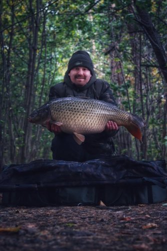 Boilies Pikantní perník