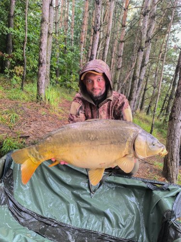 Boilies Pikantní perník