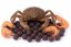 Boilies - MONSTER CRAB - Ø 24 mm (Krmiva Hulín, BOMC24-1) | Krmiva Hulín