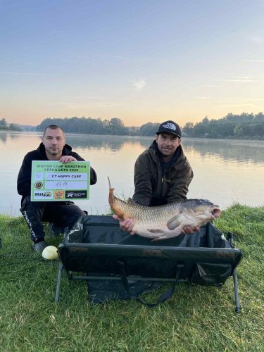 Boilies Krill a oliheň