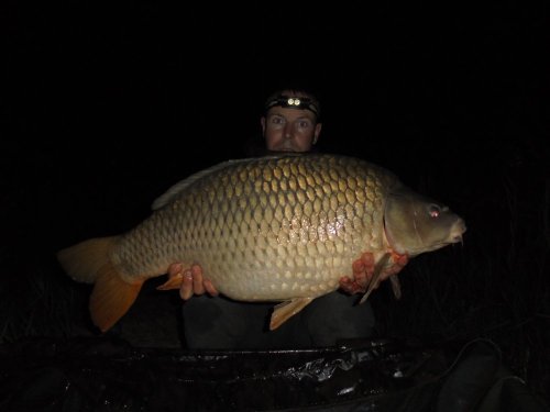 15,4kg, boilies Black and White