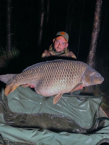 22kg, boilies Pikantní perník