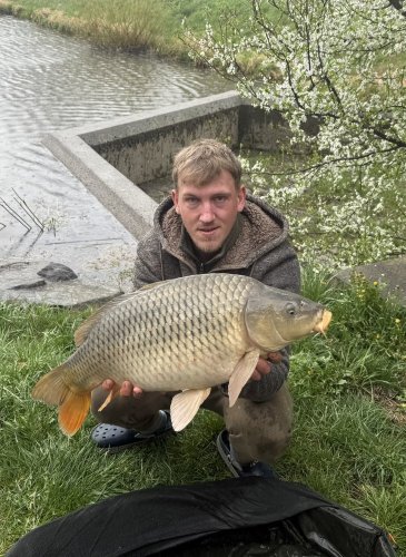 Boilies Pikantní perník